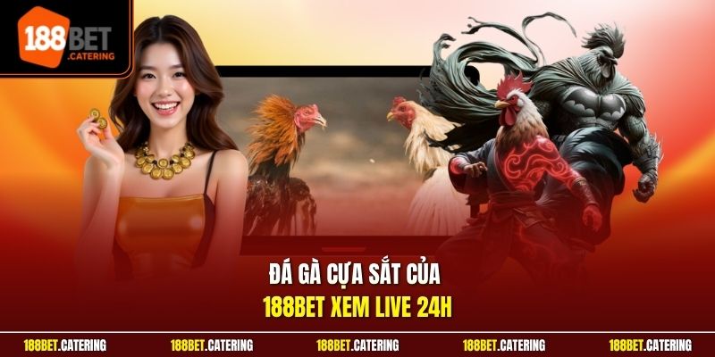 Đá gà cựa sắt của 188BET xem live 24h